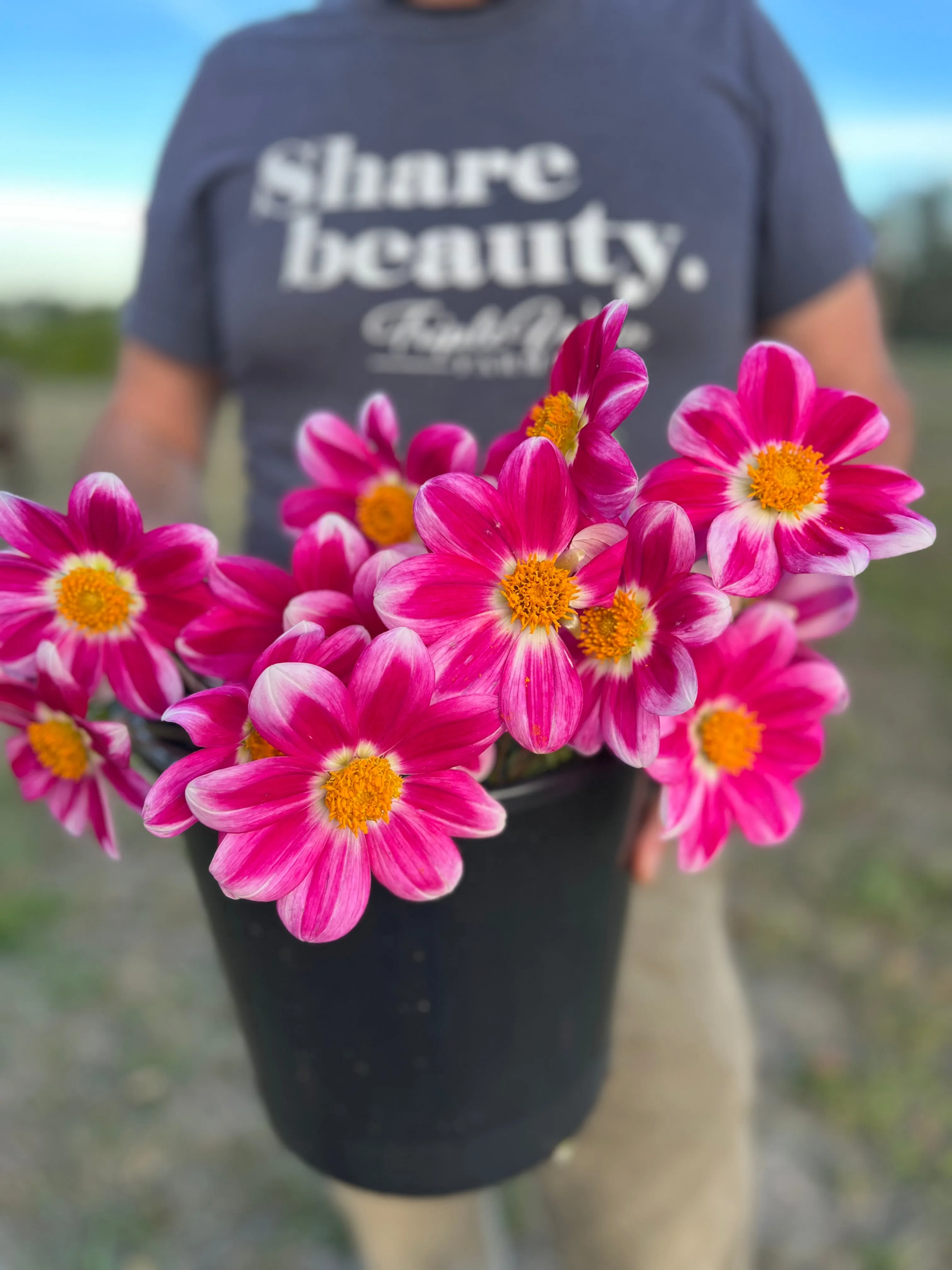 Bloomquist Awestruck Dahlia Tuber