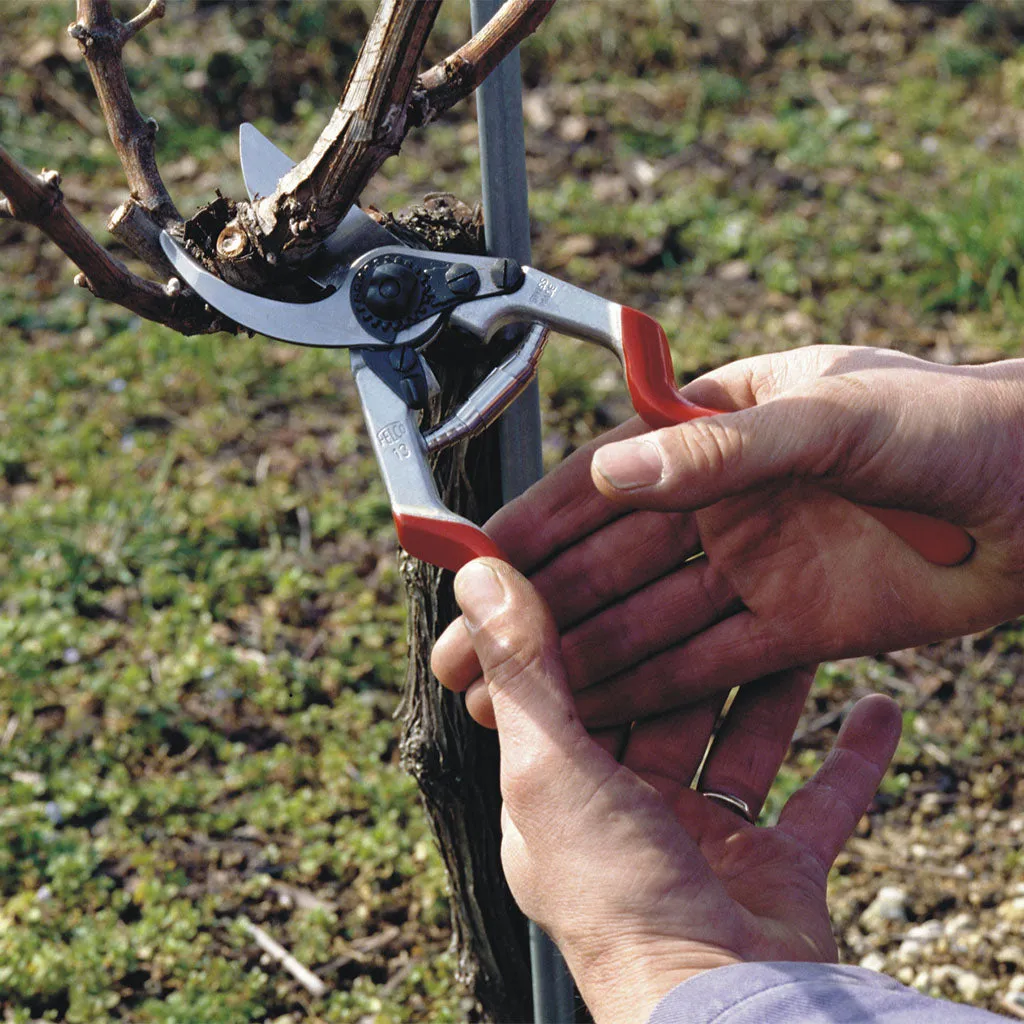 Felco F13 Pruning Shears