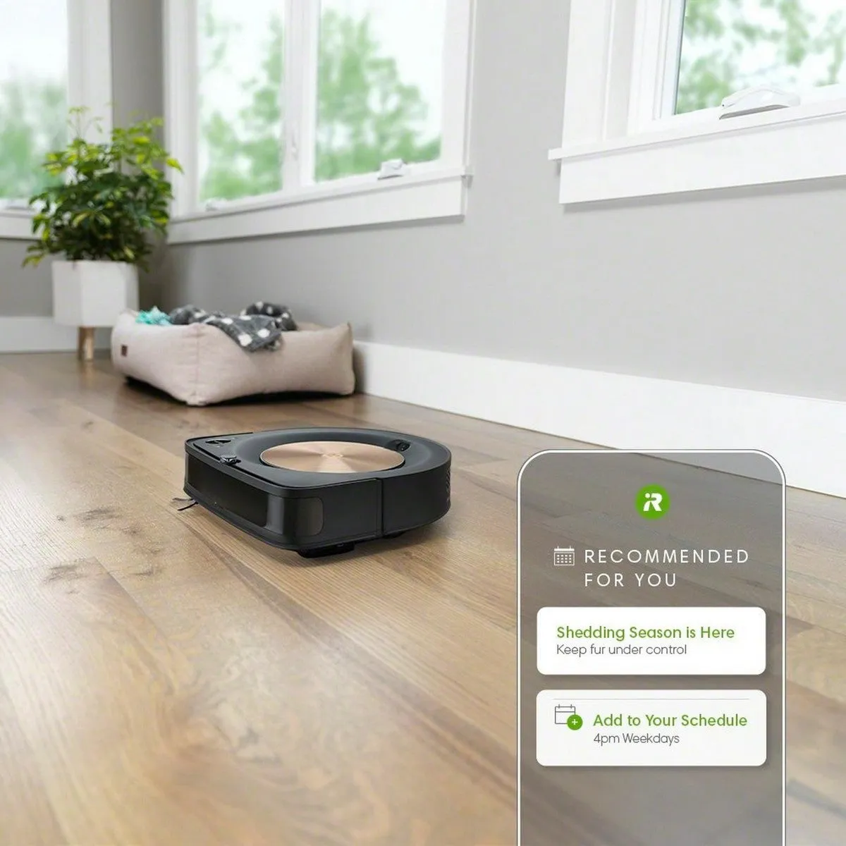 iRobot® Roomba® s9  Wi-Fi 連接自排空掃地機器人｜自動污垢處理